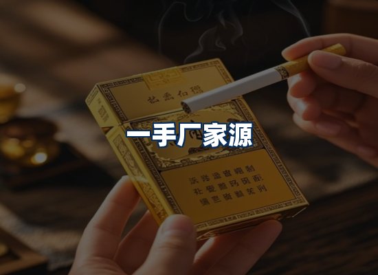 专业团队办公环境